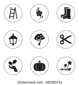 Set Of 9 Editable Gardening Icons. Includes Symbols Such As Daffodils, Fruit Woods, Streetlight And More. Can Be Used For Web, Mobile, UI And Infographic Design.