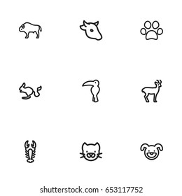 Set Of 9 Editable  Icons. Includes Symbols Such As Rodent Desert, Buffalo, Dog Steps And More. Can Be Used For Web, Mobile, UI And Infographic Design.