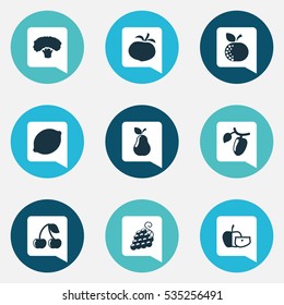 Set Of 9 Editable Kitchenware Icons. Includes Symbols Such As Low-Calorie Fruit, Barberry, Duchess And More. Can Be Used For Web, Mobile, UI And Infographic Design.