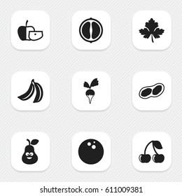 Set Of 9 Editable Kitchenware Icons. Includes Symbols Such As Turnip, Coconut, Orange Slice And More. Can Be Used For Web, Mobile, UI And Infographic Design.