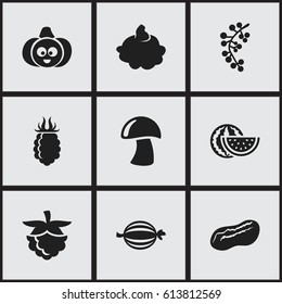 Set Of 9 Editable Kitchenware Icons. Includes Symbols Such As Pumpkin, Cep, Raspberry And More. Can Be Used For Web, Mobile, UI And Infographic Design.