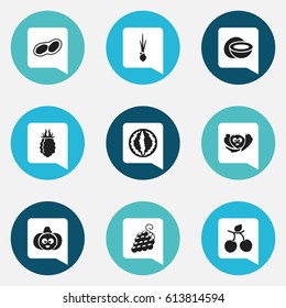 Set Of 9 Editable Kitchenware Icons. Includes Symbols Such As Onion, Sweet Fruit, Pistachio And More. Can Be Used For Web, Mobile, UI And Infographic Design.