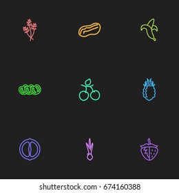 Set Of 9 Editable Kitchenware Icons. Includes Symbols Such As Plum, Mandarin, Dill. Can Be Used For Web, Mobile, UI And Infographic Design.