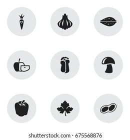 Set Of 9 Editable Kitchenware Icons. Includes Symbols Such As Cauliflower, Leaf, Root Vegetable And More. Can Be Used For Web, Mobile, UI And Infographic Design.