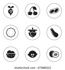 Set Of 9 Editable Kitchenware Icons. Includes Symbols Such As Berry, Pecan, Pineapple And More. Can Be Used For Web, Mobile, UI And Infographic Design.