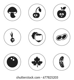 Set Of 9 Editable Kitchenware Icons. Includes Symbols Such As Cucumber, Pistachio, Funny Apple And More. Can Be Used For Web, Mobile, UI And Infographic Design.