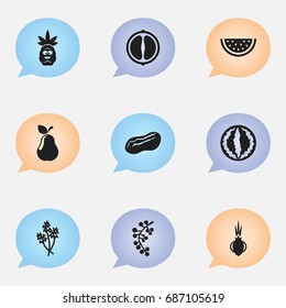 Set Of 9 Editable Kitchenware Icons. Includes Symbols Such As Tropical Fruit, Orange Slice, Garlic And More. Can Be Used For Web, Mobile, UI And Infographic Design.