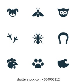 Set Of 9 Editable Nature Icons. Includes Symbols Such As Honey, Rooster, Forepaw And More. Can Be Used For Web, Mobile, UI And Infographic Design.