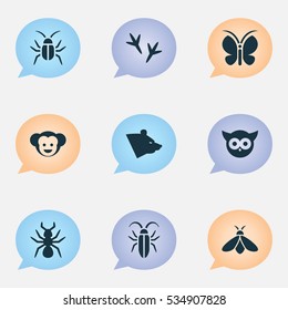 Set Of 9 Editable Nature Icons. Includes Symbols Such As Moth, Bug, Grizzly And More. Can Be Used For Web, Mobile, UI And Infographic Design.