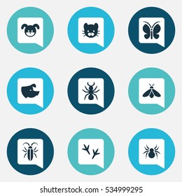 Set Of 9 Editable Nature Icons. Includes Symbols Such As Arachind, Feline, Moth And More. Can Be Used For Web, Mobile, UI And Infographic Design.