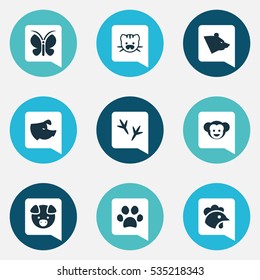 Set Of 9 Editable Nature Icons. Includes Symbols Such As Footprint, Forepaw, Beast And More. Can Be Used For Web, Mobile, UI And Infographic Design.