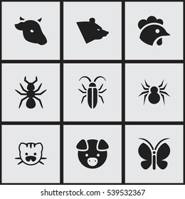 Set Of 9 Editable Nature Icons. Includes Symbols Such As Bedbug, Arachind, Bull And More. Can Be Used For Web, Mobile, UI And Infographic Design.