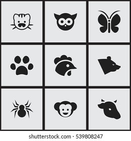 Set Of 9 Editable Nature Icons. Includes Symbols Such As Moth, Rooster, Bird And More. Can Be Used For Web, Mobile, UI And Infographic Design.
