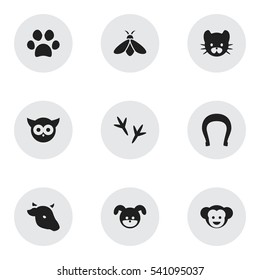 Set Of 9 Editable Nature Icons. Includes Symbols Such As Feline, Bull, Footprint And More. Can Be Used For Web, Mobile, UI And Infographic Design.