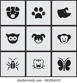 Set Of 9 Editable Nature Icons. Includes Symbols Such As Hog, Baboon, Cockroach And More. Can Be Used For Web, Mobile, UI And Infographic Design.