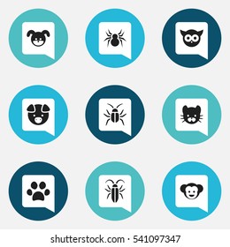 Set Of 9 Editable Nature Icons. Includes Symbols Such As Feline, Puppy, Arachind And More. Can Be Used For Web, Mobile, UI And Infographic Design.