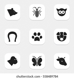 Set Of 9 Editable Nature Icons. Includes Symbols Such As Bird, Talisman, Grizzly And More. Can Be Used For Web, Mobile, UI And Infographic Design.