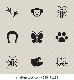 Set Of 9 Editable Nature Icons. Includes Symbols Such As Sow, Forepaw, Baboon And More. Can Be Used For Web, Mobile, UI And Infographic Design.