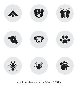 Set Of 9 Editable Nature Icons. Includes Symbols Such As Forepaw, Hog, Baboon And More. Can Be Used For Web, Mobile, UI And Infographic Design.