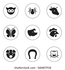 Set Of 9 Editable Nature Icons. Includes Symbols Such As Arachind, Bull, Hog And More. Can Be Used For Web, Mobile, UI And Infographic Design.