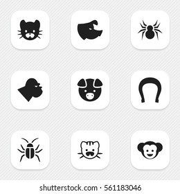 Set Of 9 Editable Nature Icons. Includes Symbols Such As Chimpanzee, Arachind, Cockroach And More. Can Be Used For Web, Mobile, UI And Infographic Design.