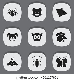 Set Of 9 Editable Nature Icons. Includes Symbols Such As Honey, Moth, Puppy And More. Can Be Used For Web, Mobile, UI And Infographic Design.