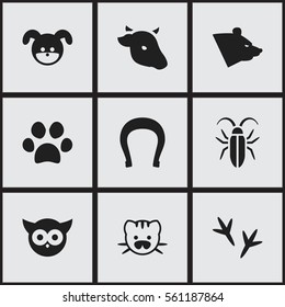 Set Of 9 Editable Nature Icons. Includes Symbols Such As Talisman, Grizzly, Bird And More. Can Be Used For Web, Mobile, UI And Infographic Design.