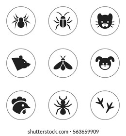 Set Of 9 Editable Nature Icons. Includes Symbols Such As Bedbug, Honey, Feline And More. Can Be Used For Web, Mobile, UI And Infographic Design.