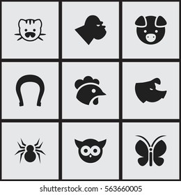 Set Of 9 Editable Nature Icons. Includes Symbols Such As Arachind, Rooster, Bird And More. Can Be Used For Web, Mobile, UI And Infographic Design.