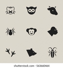 Set Of 9 Editable Nature Icons. Includes Symbols Such As Arachind, Footprint, Baboon And More. Can Be Used For Web, Mobile, UI And Infographic Design.