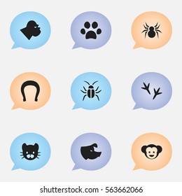 Set Of 9 Editable Nature Icons. Includes Symbols Such As Feline, Baboon, Chimpanzee And More. Can Be Used For Web, Mobile, UI And Infographic Design.