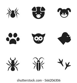Set Of 9 Editable Nature Icons. Includes Symbols Such As Forepaw, Bird, Puppy And More. Can Be Used For Web, Mobile, UI And Infographic Design.