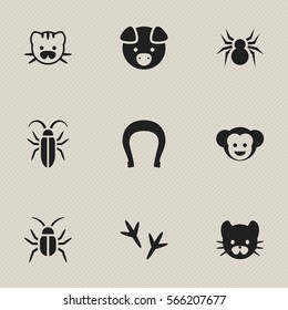 Set Of 9 Editable Nature Icons. Includes Symbols Such As Beast, Bug, Arachind And More. Can Be Used For Web, Mobile, UI And Infographic Design.