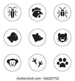 Set Of 9 Editable Nature Icons. Includes Symbols Such As Cockroach, Rooster, Grizzly And More. Can Be Used For Web, Mobile, UI And Infographic Design.
