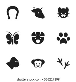 Set Of 9 Editable Nature Icons. Includes Symbols Such As Talisman, Moth, Baboon And More. Can Be Used For Web, Mobile, UI And Infographic Design.