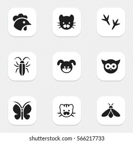 Set Of 9 Editable Nature Icons. Includes Symbols Such As Beast, Footprint, Rooster And More. Can Be Used For Web, Mobile, UI And Infographic Design.