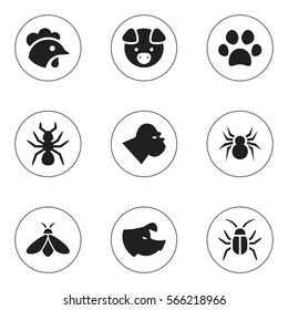 Set Of 9 Editable Nature Icons. Includes Symbols Such As Forepaw, Cockroach, Honey And More. Can Be Used For Web, Mobile, UI And Infographic Design.