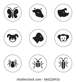 Set Of 9 Editable Nature Icons. Includes Symbols Such As Baboon, Arachind, Sow And More. Can Be Used For Web, Mobile, UI And Infographic Design.