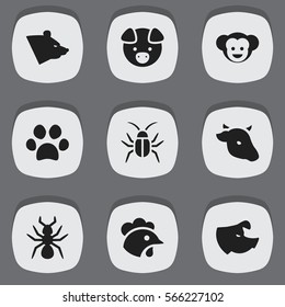 Set Of 9 Editable Nature Icons. Includes Symbols Such As Hog, Forepaw, Rooster And More. Can Be Used For Web, Mobile, UI And Infographic Design.