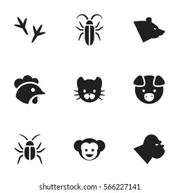 Set Of 9 Editable Nature Icons. Includes Symbols Such As Rooster, Footprint, Chimpanzee And More. Can Be Used For Web, Mobile, UI And Infographic Design.