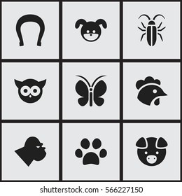 Set Of 9 Editable Nature Icons. Includes Symbols Such As Forepaw, Talisman, Bug And More. Can Be Used For Web, Mobile, UI And Infographic Design.