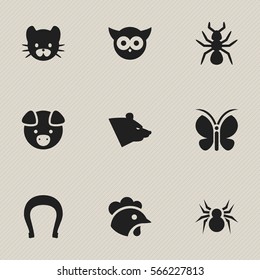 Set Of 9 Editable Nature Icons. Includes Symbols Such As Arachind, Feline, Grizzly And More. Can Be Used For Web, Mobile, UI And Infographic Design.