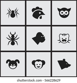 Set Of 9 Editable Nature Icons. Includes Symbols Such As Puppy, Grizzly, Arachind And More. Can Be Used For Web, Mobile, UI And Infographic Design.