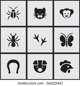 Set Of 9 Editable Nature Icons. Includes Symbols Such As Feline, Bedbug, Baboon And More. Can Be Used For Web, Mobile, UI And Infographic Design.