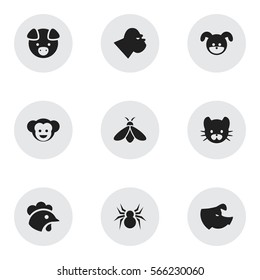 Set Of 9 Editable Nature Icons. Includes Symbols Such As Baboon, Hog, Rooster And More. Can Be Used For Web, Mobile, UI And Infographic Design.