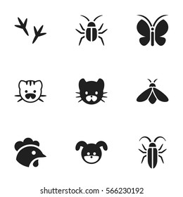 Set Of 9 Editable Nature Icons. Includes Symbols Such As Puppy, Honey, Bug And More. Can Be Used For Web, Mobile, UI And Infographic Design.