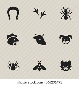 Set Of 9 Editable Nature Icons. Includes Symbols Such As Bedbug, Footprint, Puppy And More. Can Be Used For Web, Mobile, UI And Infographic Design.