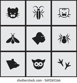 Set Of 9 Editable Nature Icons. Includes Symbols Such As Arachind, Beast, Footprint And More. Can Be Used For Web, Mobile, UI And Infographic Design.