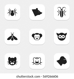 Set Of 9 Editable Nature Icons. Includes Symbols Such As Grizzly, Baboon, Beast And More. Can Be Used For Web, Mobile, UI And Infographic Design.