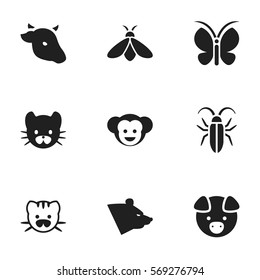 Set Of 9 Editable Nature Icons. Includes Symbols Such As Bull, Grizzly, Honey And More. Can Be Used For Web, Mobile, UI And Infographic Design.